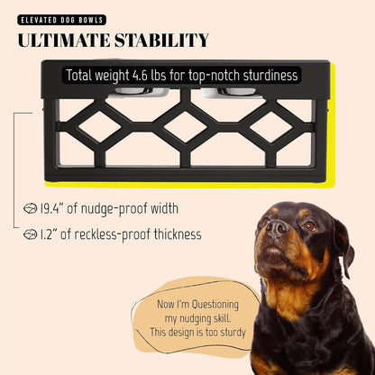 Elevated Dog Bowls, 4 Height Adjustable Stand for Medium and Large Dogs, Raised Dog Feeder Holder with 2 Stainless Steel Food and Water Bowls, Anti-Slip Base Tall Feeding Station
